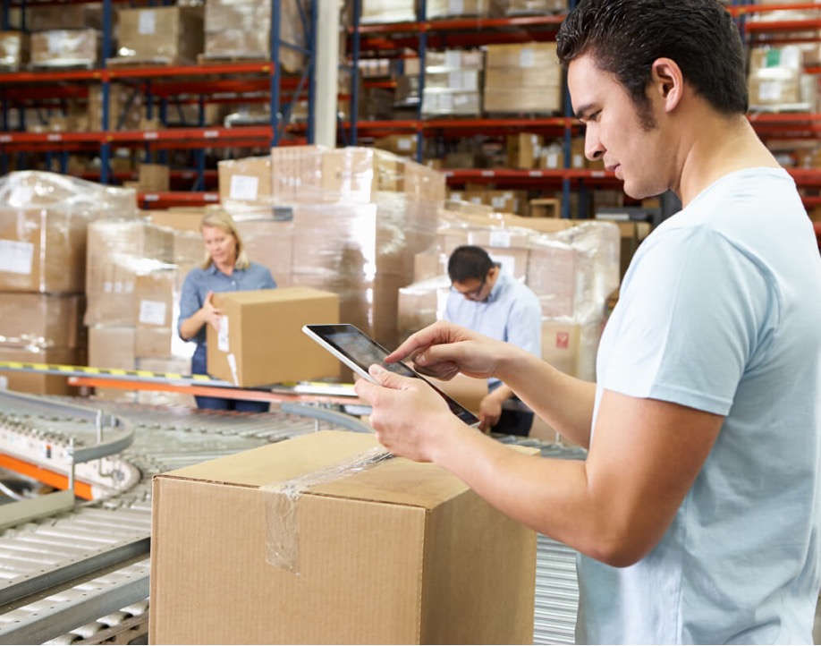 Elevate Your Procurement and Inventory Operations